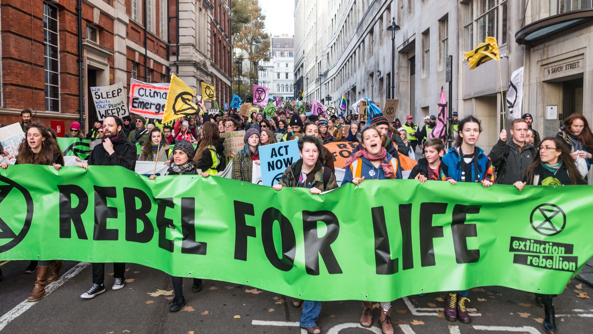 extinction-rebellion-a-earth-domain-user-disrupts-uk-government-to