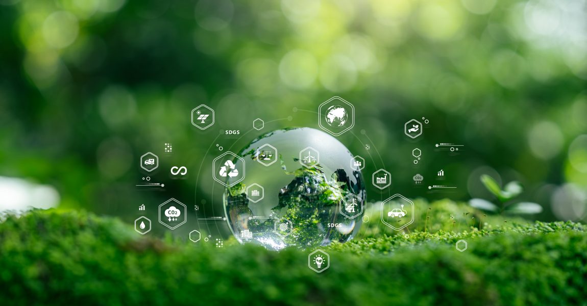 Biodiversity technology featured in Amazon Sustainability Accelerator