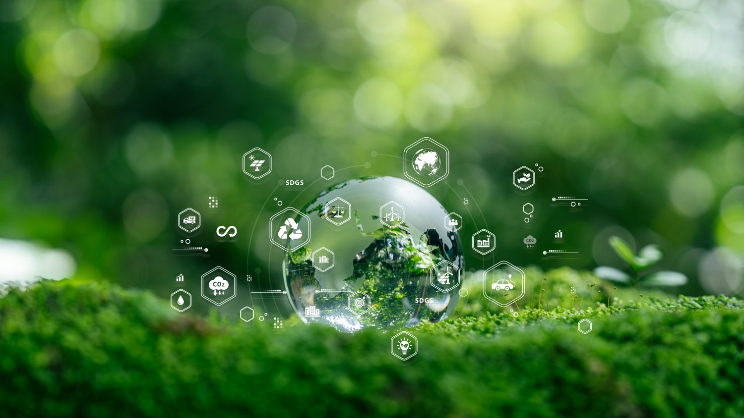 Biodiversity technology featured in Amazon Sustainability Accelerator