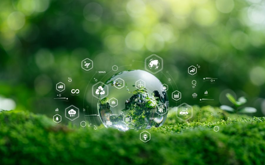 Biodiversity technology featured in Amazon Sustainability Accelerator