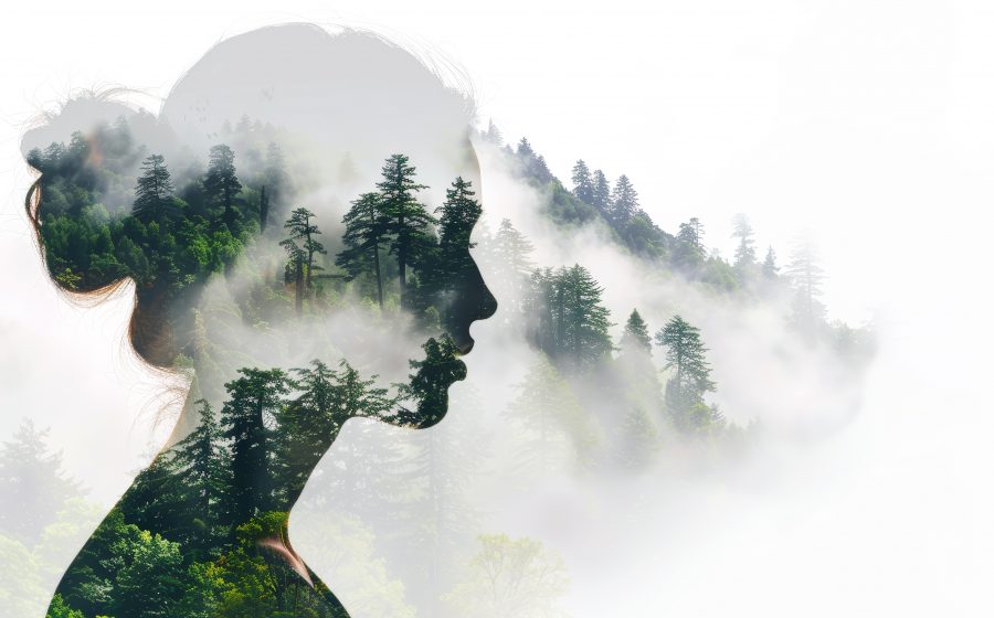 Women entrepreneurs building businesses focused on climate resilience and sustainability
